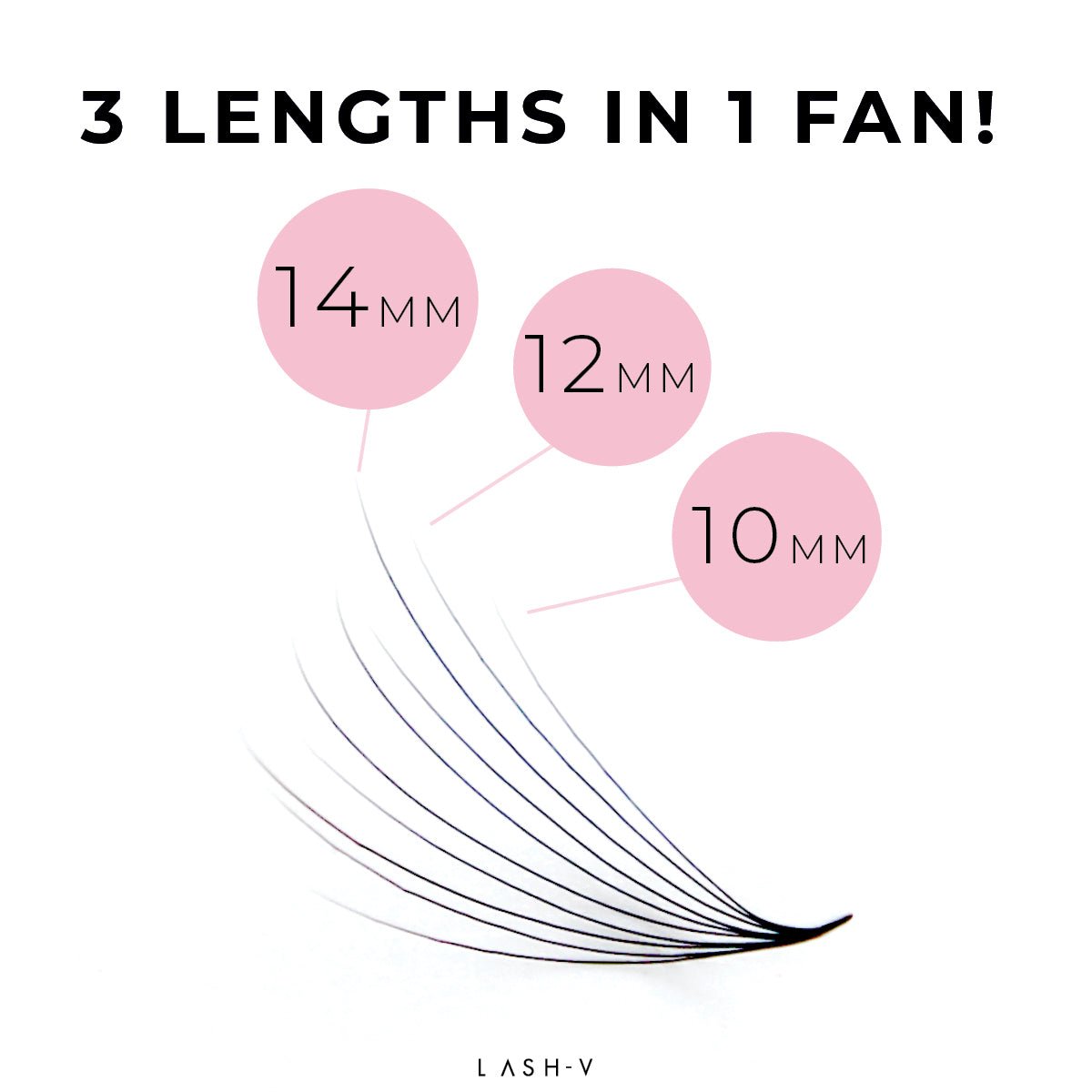 8D Promade Camellia Loose - 1000 Fans - One V Salon